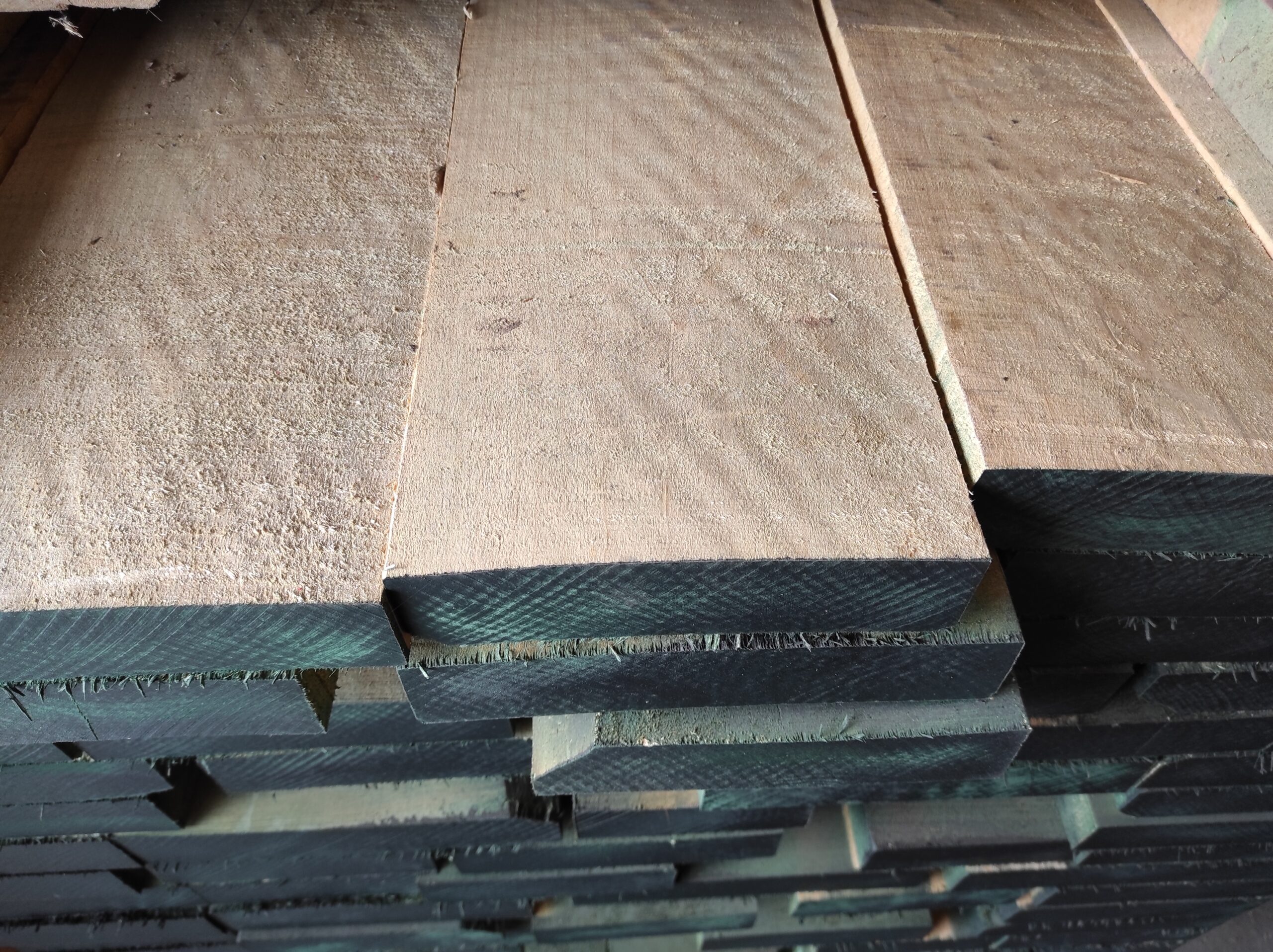 Σφένδαμος / Hard Mapple - Image 3