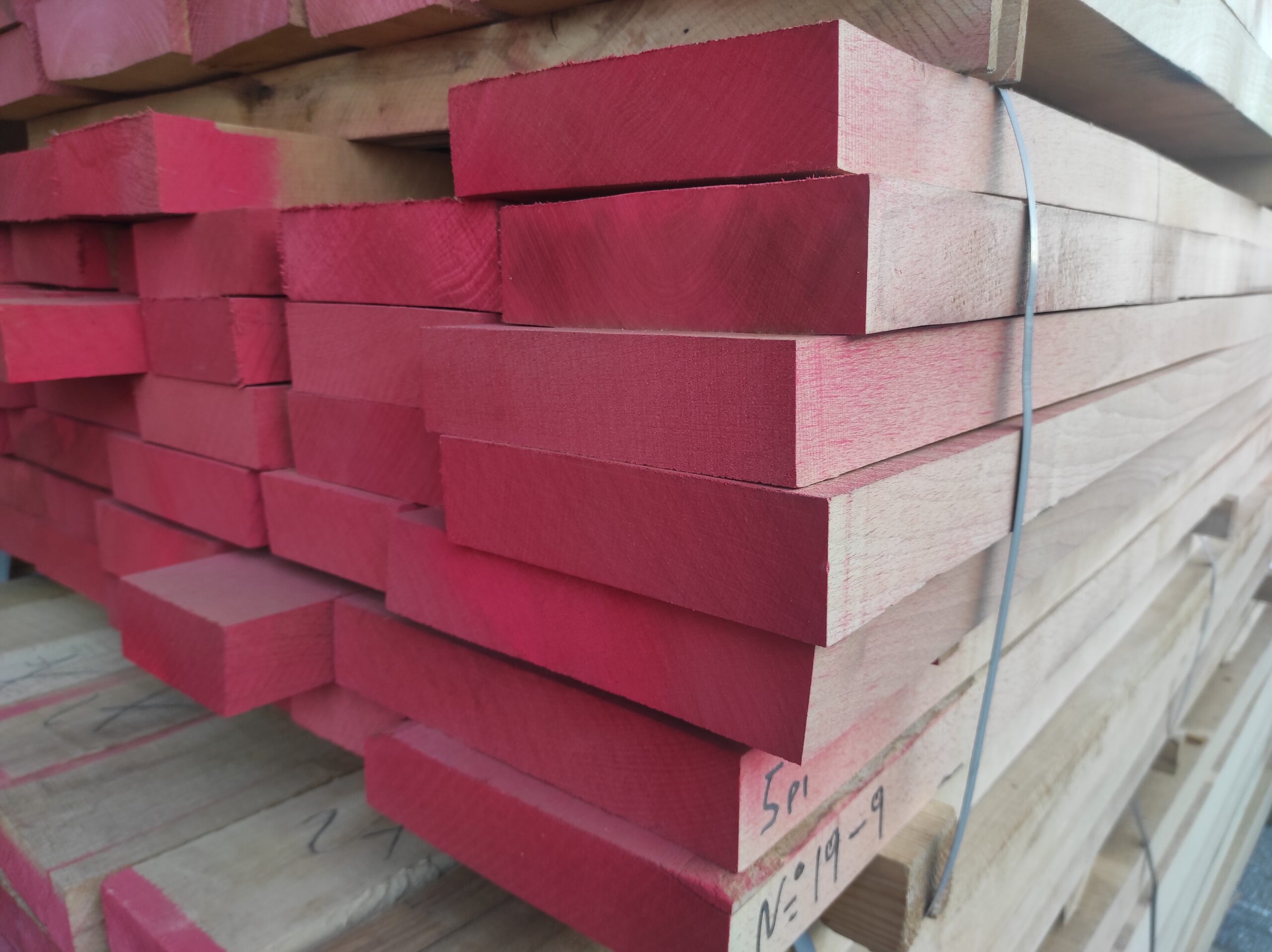 Οξυά / Beech - Image 4