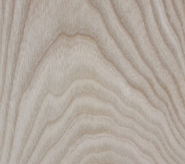 Μέλιο Μασίφ Ξυλεία Ευρώπης / European Ash