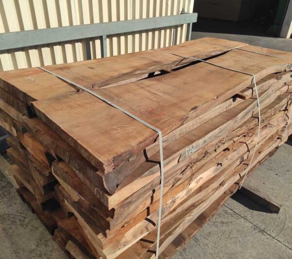 Καρυδιά Ελληνική / Greek Walnut