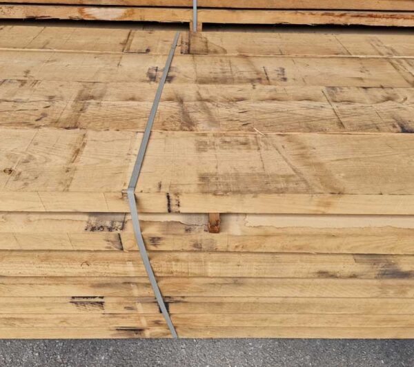 Καστανιά / Chestnut