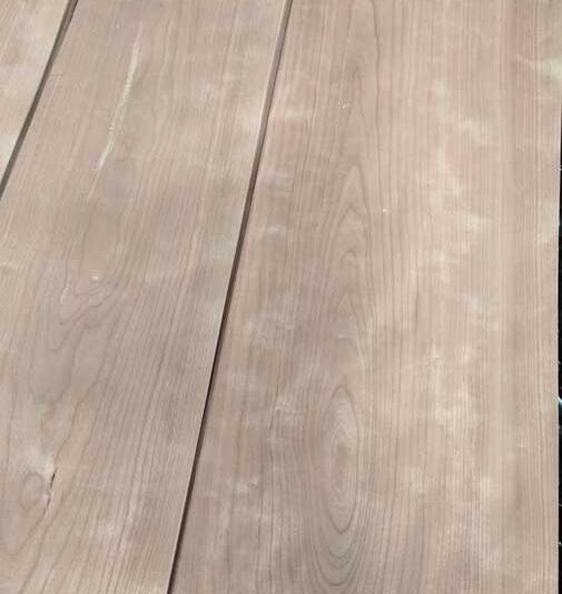 Κερασιά / Cherry