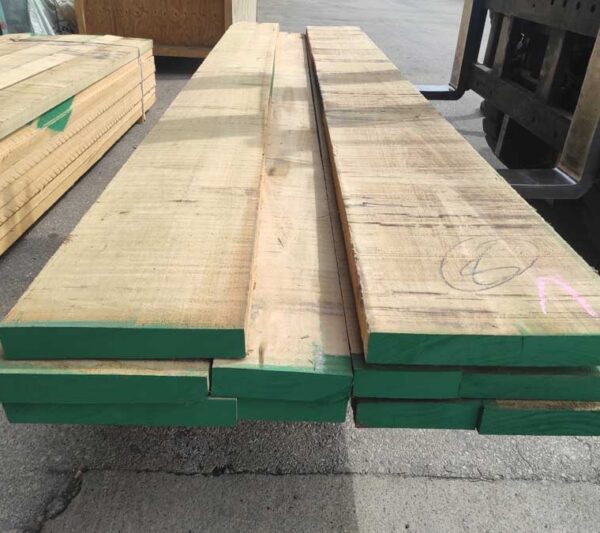 Λεύκα Αμερικής / Poplar