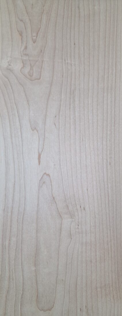 Σφένδαμος Αμερικής / American Hard Mapple