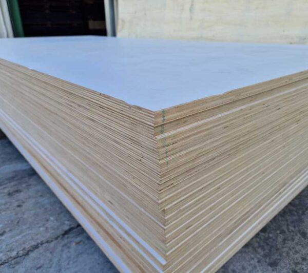 Κόντρα πλακέ ΕΥΚΑΛΥΠΤΟΣ Μελαμινικό Λευκό