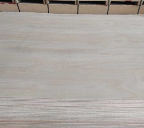 Κόντρα πλακέ ΕΥΚΑΛΥΠΤΟΣ Πορτίσιο