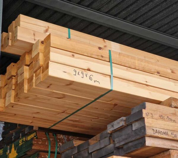 Πευκο κολωνα