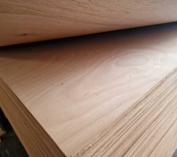 Κόντρα πλακέ OKOUME GABON Πορτίσιο