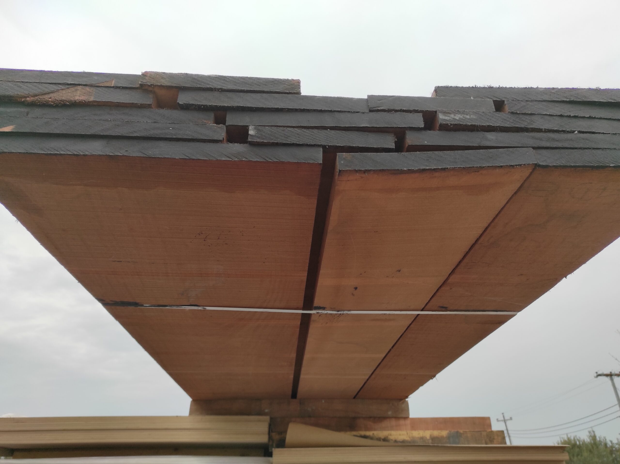 Sapelli/Sapele - Image 2