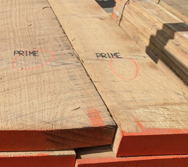 Δρυς Λευκό Αμερικής  / White American Oak