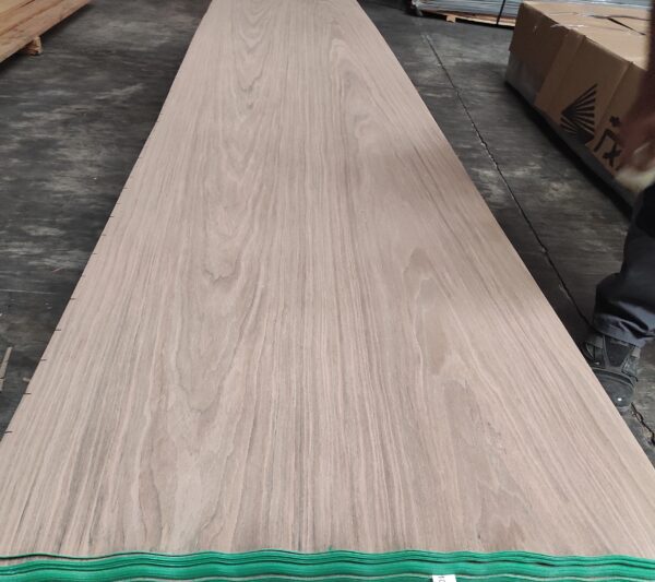 Walnut Crown cut 1280