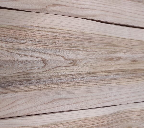 Καραγάτσι (Elm)