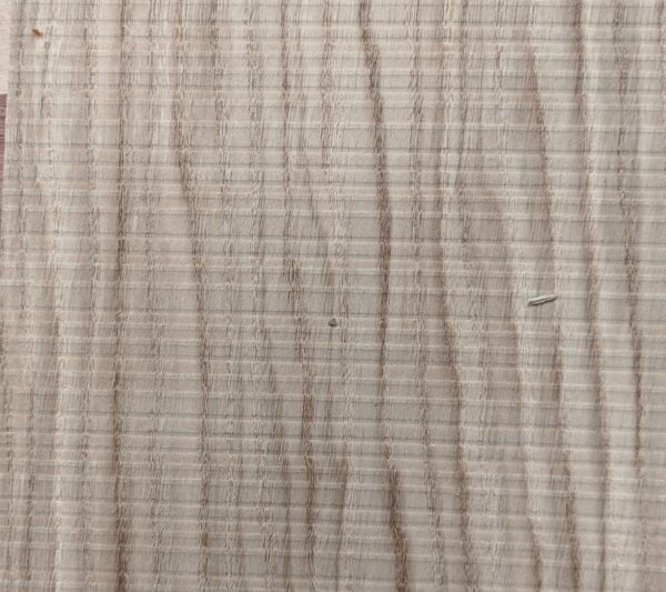 Δρυς Ευρώπης 3D  (Oak Europ. 3D )