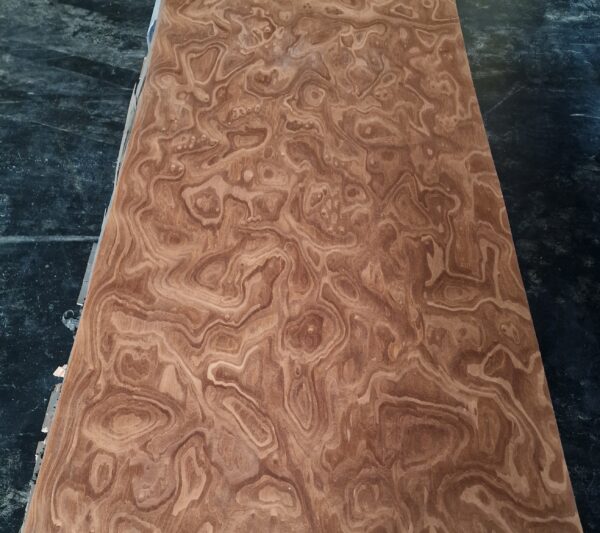 Sapelle burl 8270F