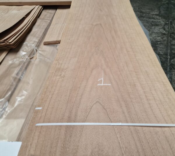 Καρυδιά Ελληνική Άσπρη   (Greek walnut white)
