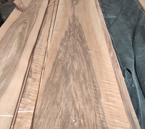 Καρυδιά Ελληνική Άσπρη - Μαύρη  (Greek walnut white - black )