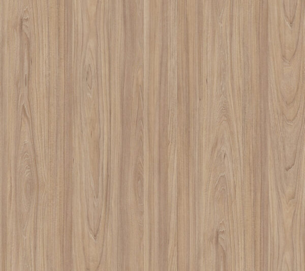 5500 SU Natural Noble Elm