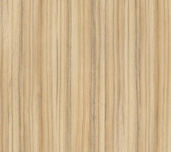 8995 SN Coco Bolo