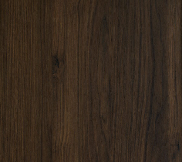 A549