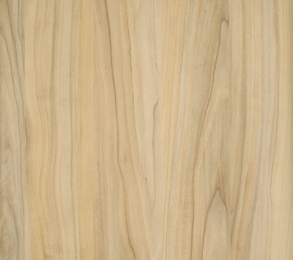 A558