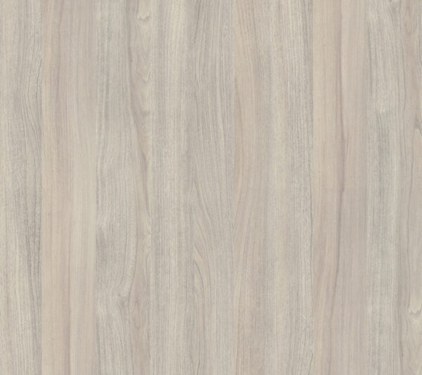 K019 PW Silver Liberty Elm