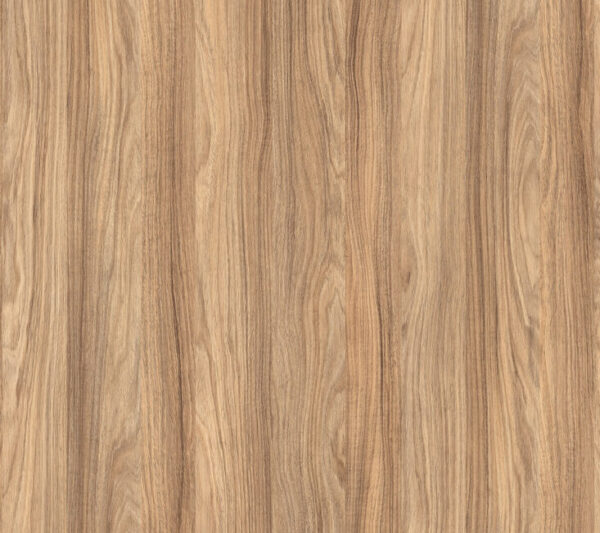 K021 SN Barley Blackwood