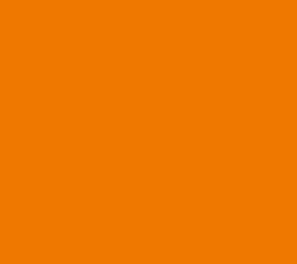 K132 BS Orange