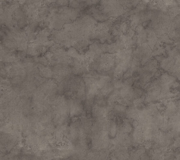 K539 PN Fossil Arosa