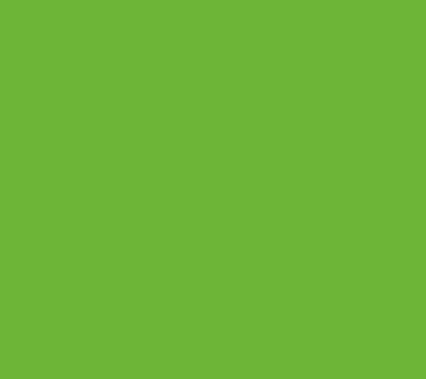 K7190 BS Mamba Green